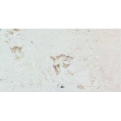 Electric Fire Nero - Fossil Stone (marmor-look)